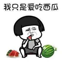 娱乐吃瓜头像图片大全集,笑料百出等你来翻牌  第3张