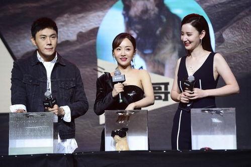 娱乐圈综艺吃瓜爆料小说,揭秘明星背后的秘密与真相  第2张