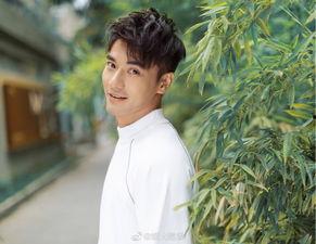 娱乐圈吃瓜基本是真的,真相与谣言的交织 第3张 娱乐圈吃瓜基本是真的,真相与谣言的交织 第3张